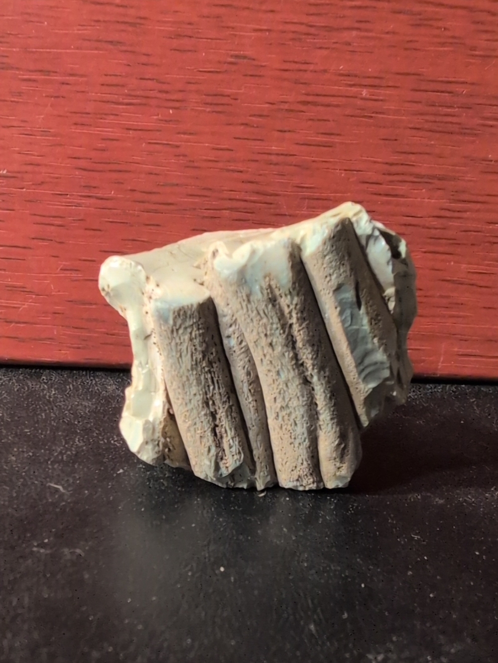 Mammoth Tooth Fragment